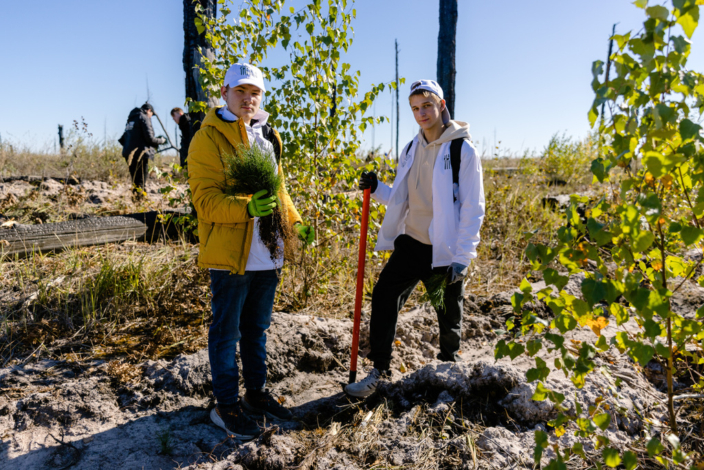 Саратовцев приглашают на высадку леса